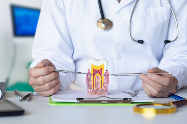 Best Emergency Dentist for Special Needs Patients in Sewanee, TN